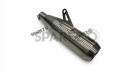 Fit For Royal Enfield Bear 650 AEW SS Exhaust Silencer Matt Finish - SPAREZO